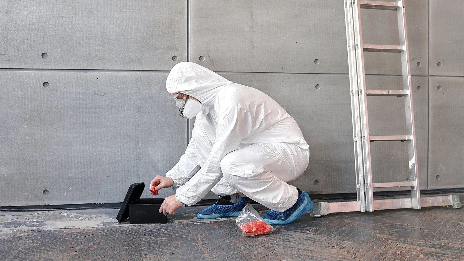Les Services de Dératisation Maison à Sannois